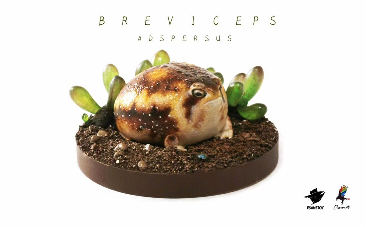 ESANSTOY Breviceps adspersus Model