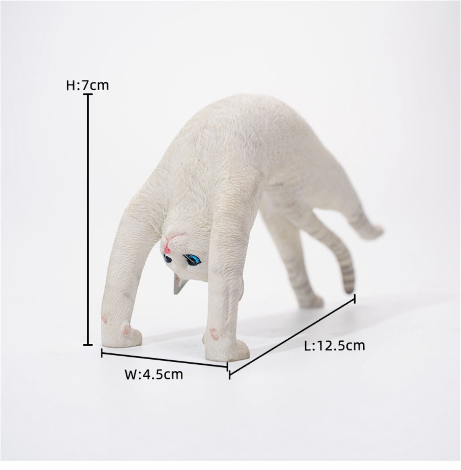 JXK 1/6 Yoga Cat 3.0 Model