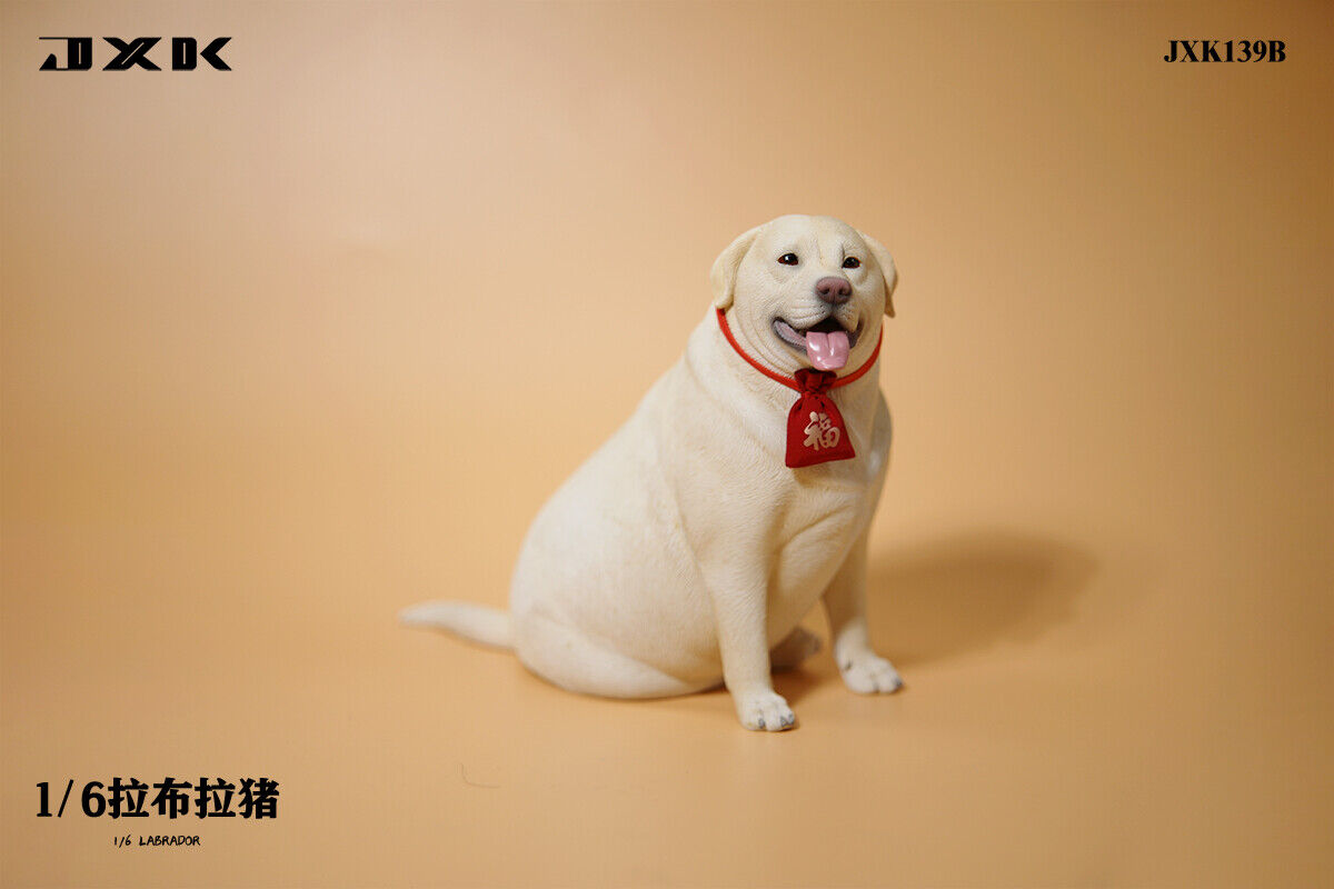 JXK 1/6 Labrador Model
