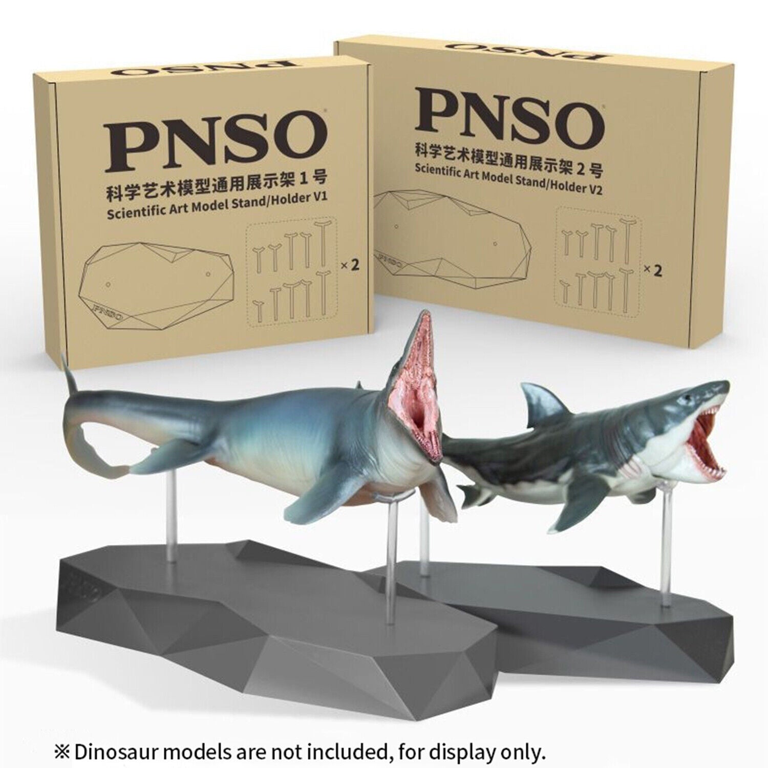 PNSO Transparent Auxiliary Support Base Model