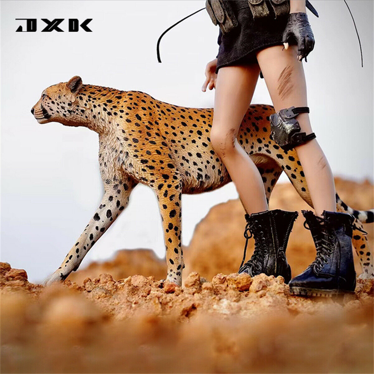JXK 1/6 Acinonyx jubatus King Cheetha Model