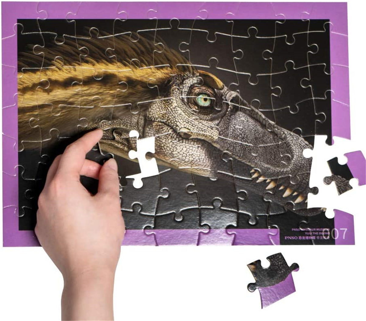 8Pcs PNSO Dinosaur Museum Puzzle Poster Figure