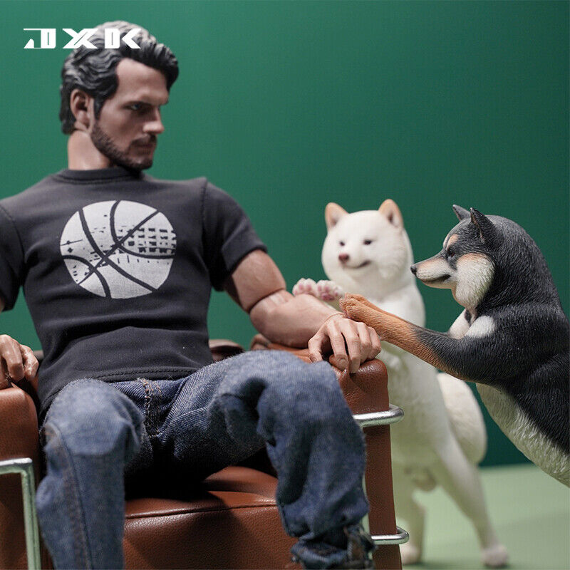 JXK 1/6 Play Cute Shiba Inu Model
