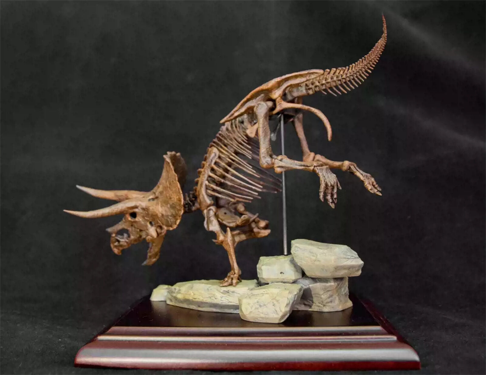 VWUVWU 1/35 Triceratops Skeleton Model
