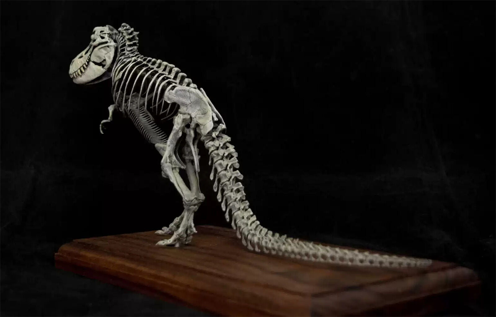 VWUVWU 1/35 Standing Tyrannosaurus Skeleton Model