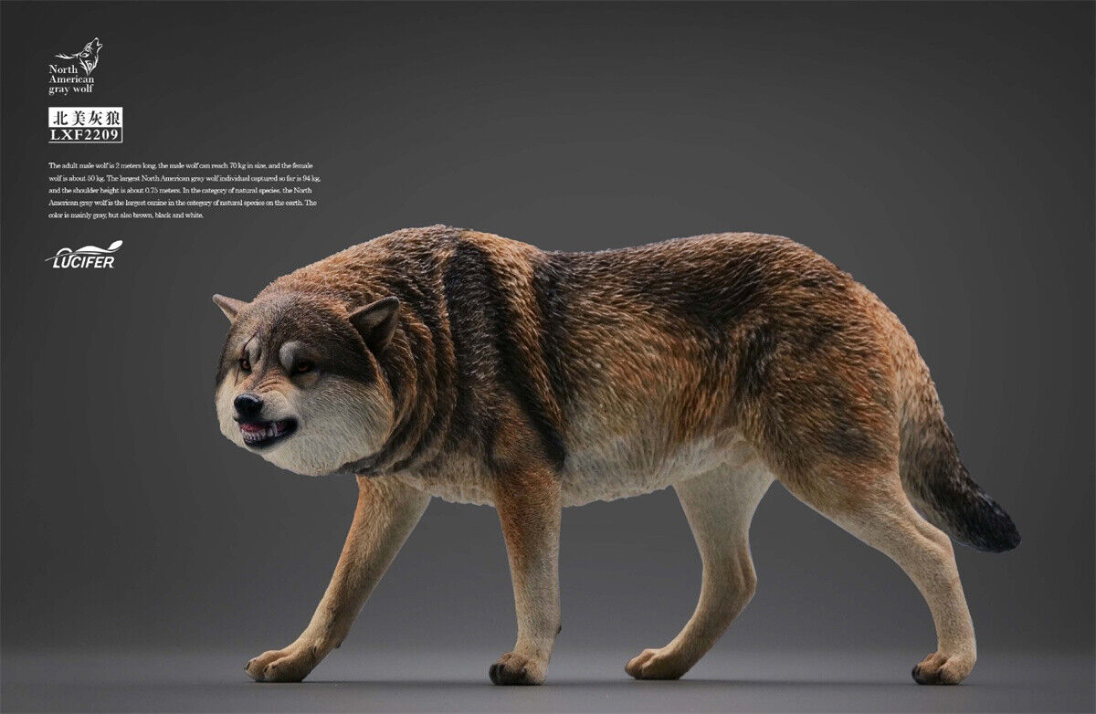JXK&Lucifer 1/6 North American Gray Wolf Model