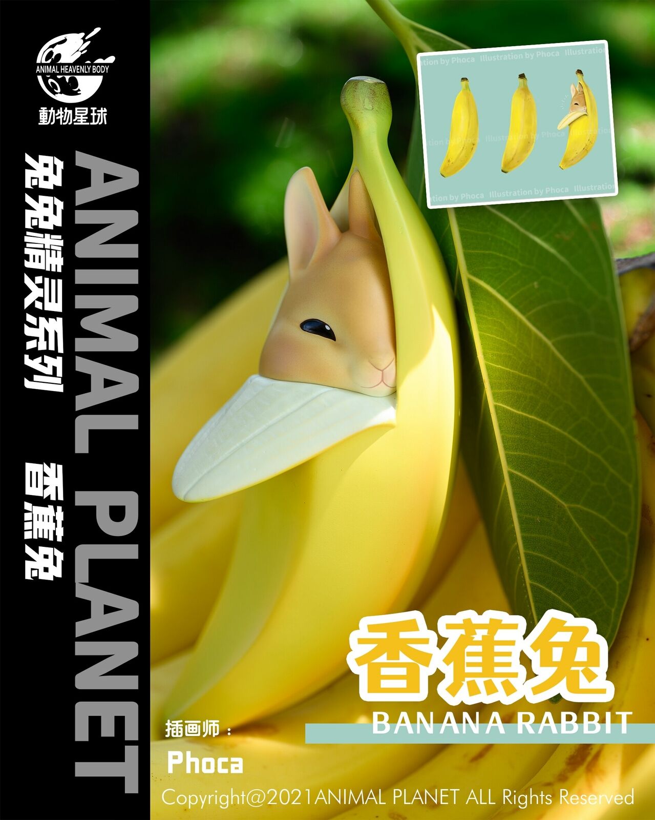 Banana Rabbit Model
