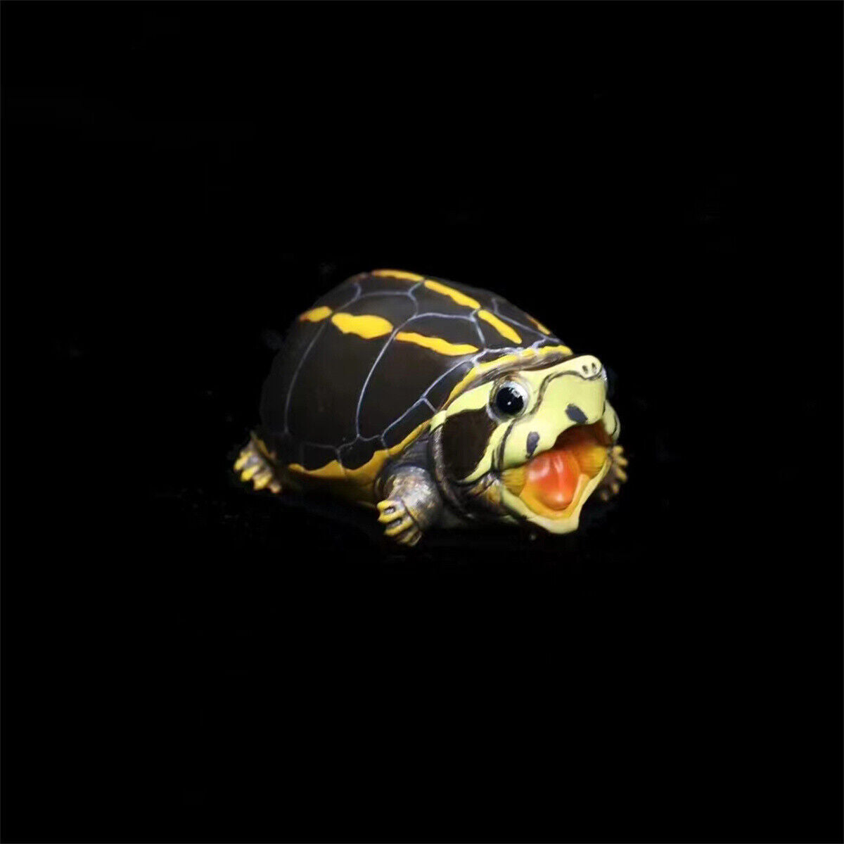 Q Version Turtle Blind Box Model