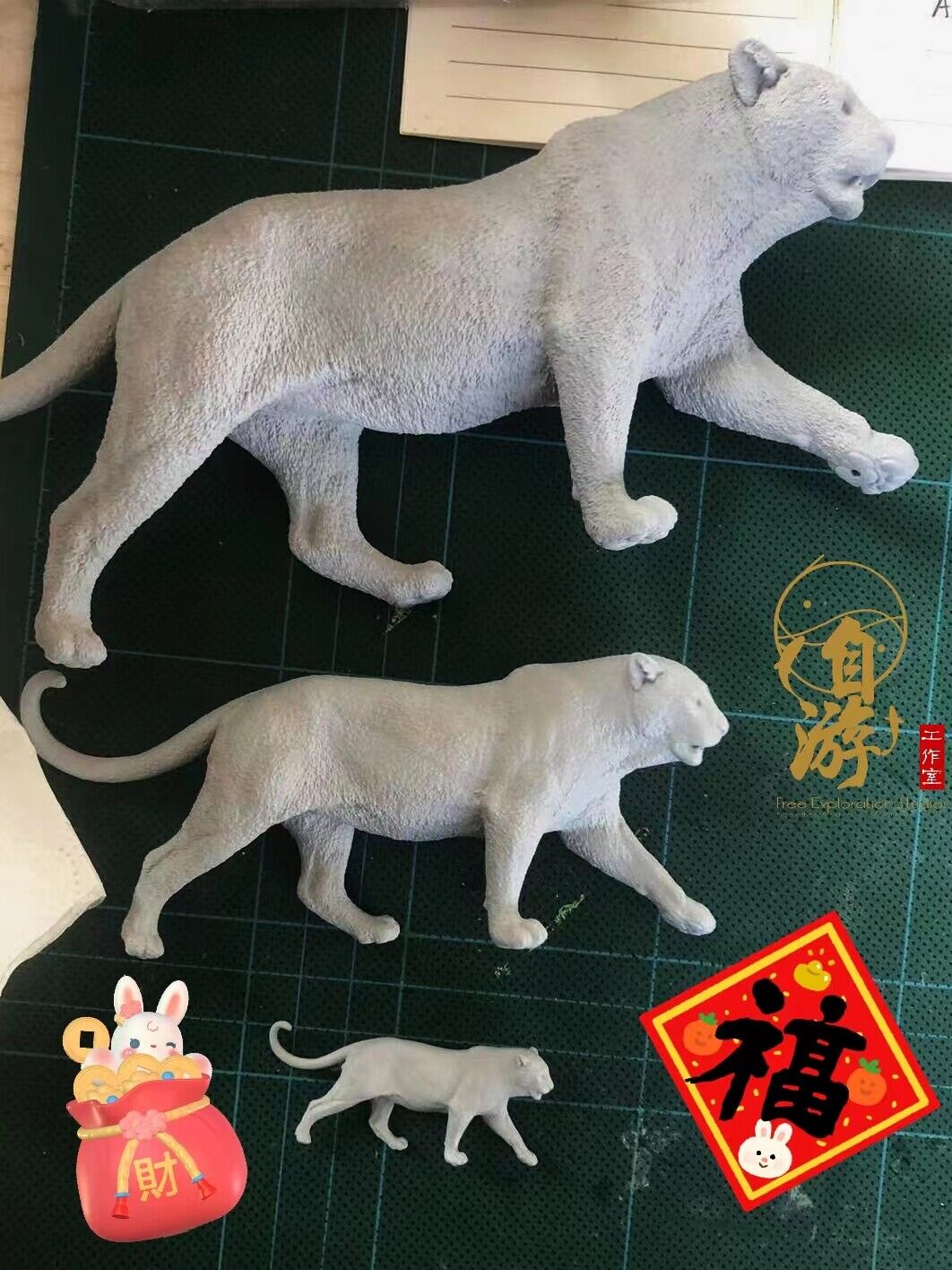 Free Exploration Male Leopard Model