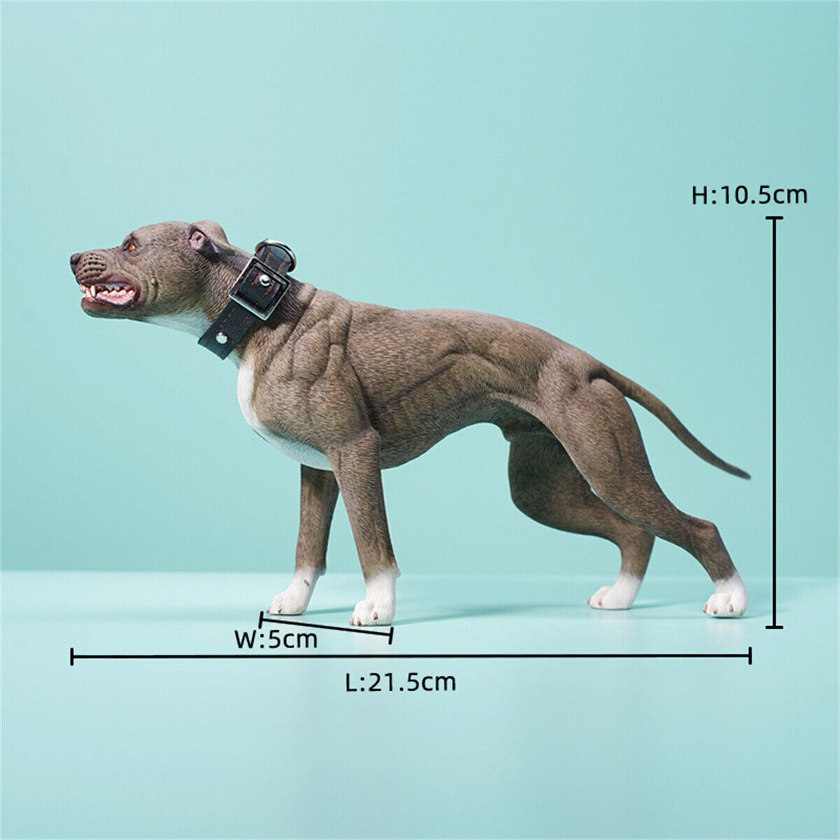JXK 1/6 American Pit Bull Terrier Model