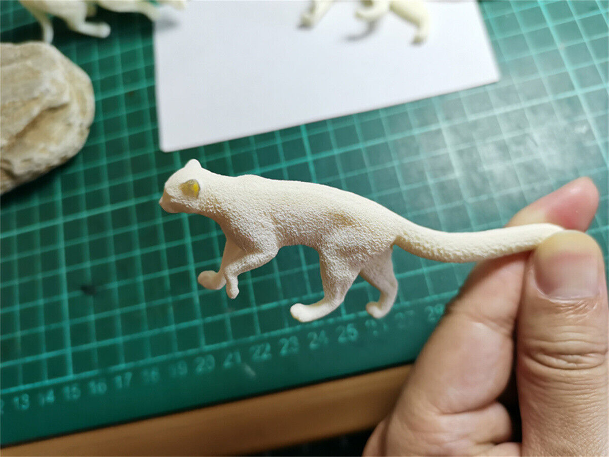 Woo-Model Studio 1/10 Nepalese Marbled Cat Model