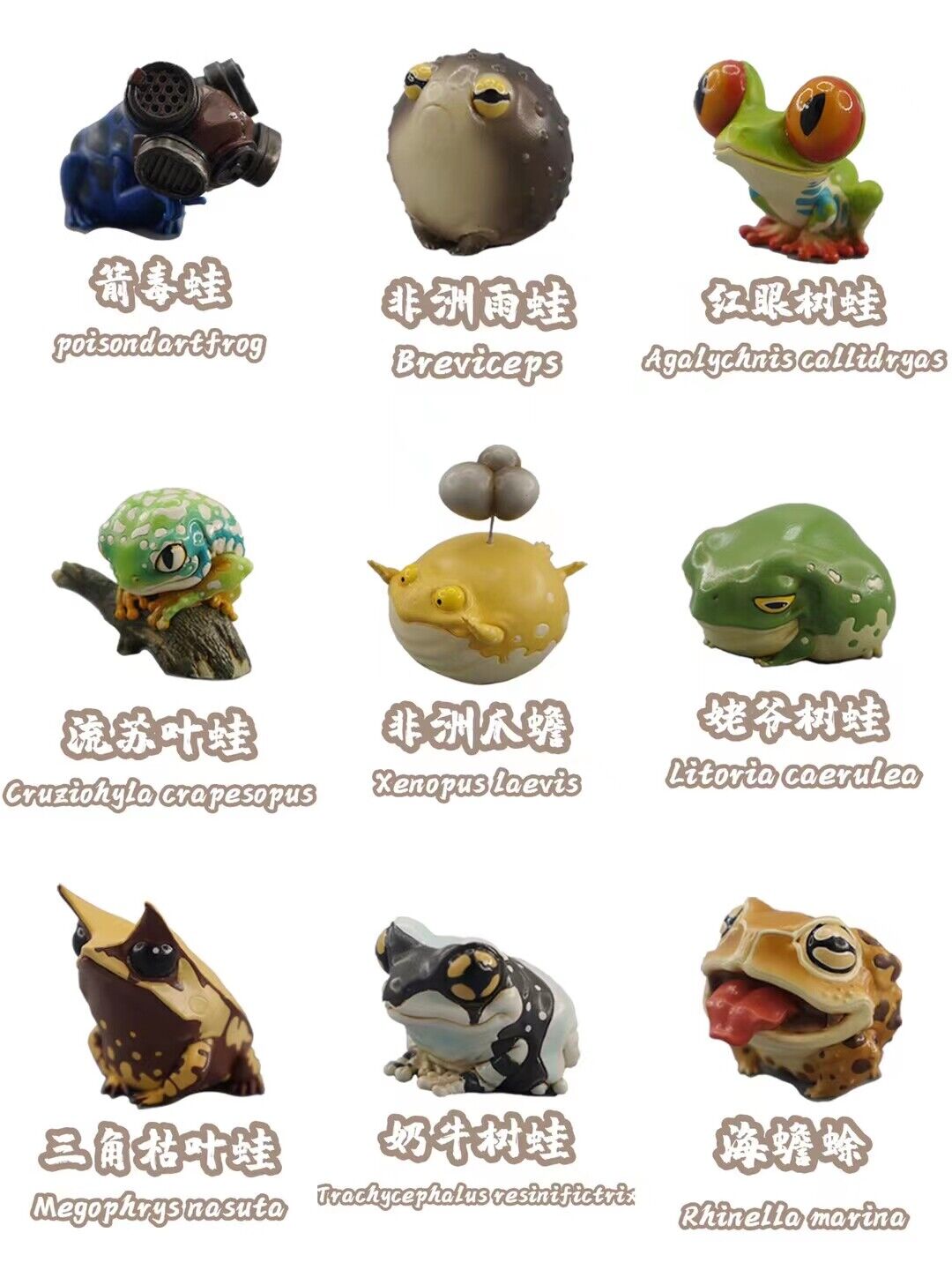 Frog Planet 24Pcs Limited Mini Ranidae Model