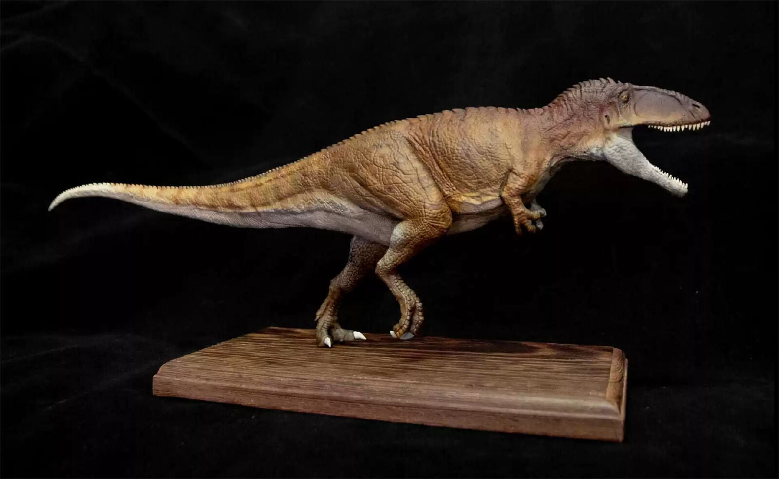 VWUVWU 1/35 Carcharodontosaurus Model