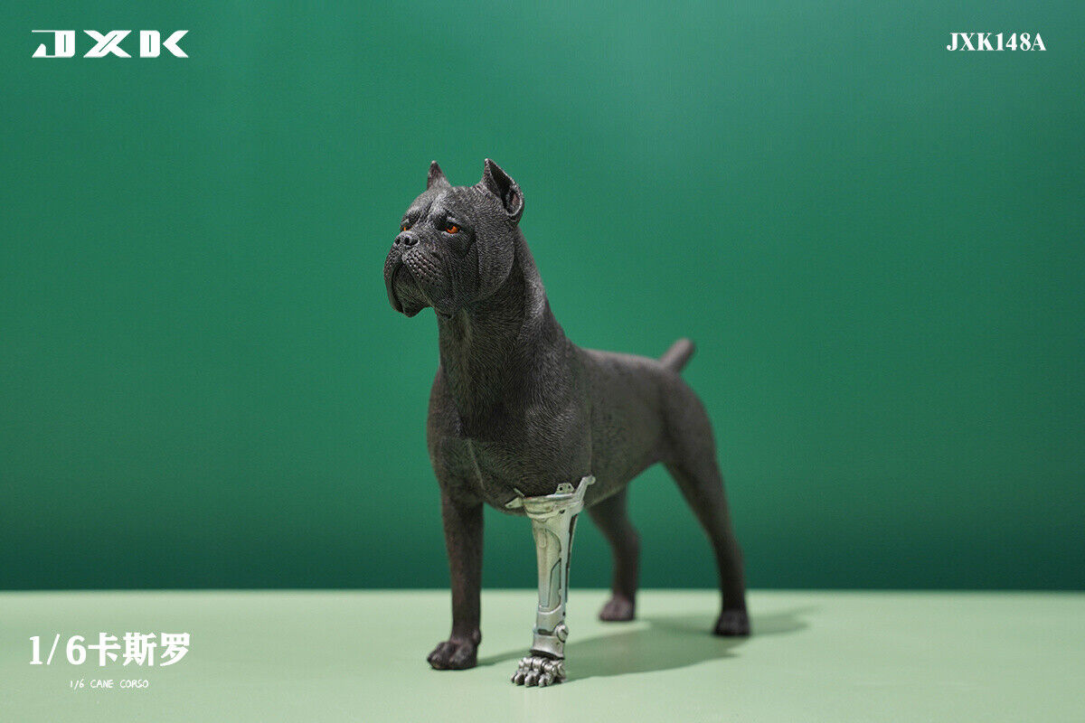 JXK 1/6 Cane Corso Model