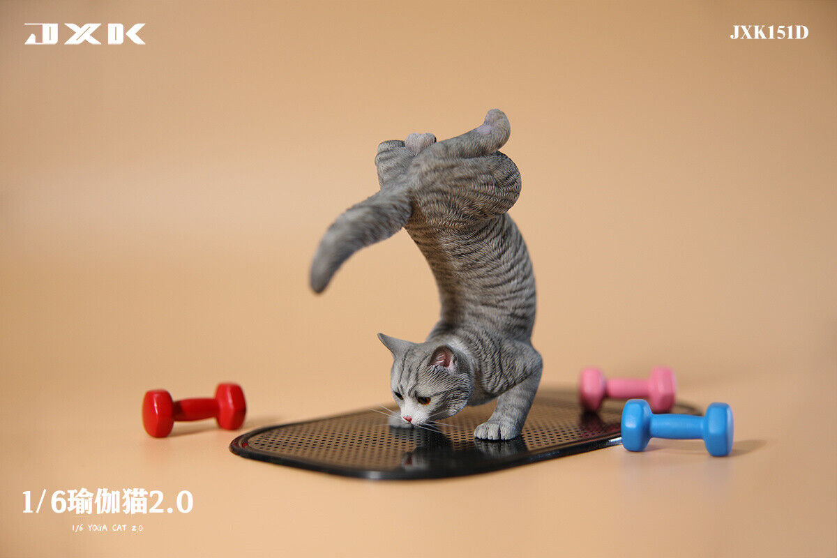 JXK 1/6 Yoga Cat 2.0 Model