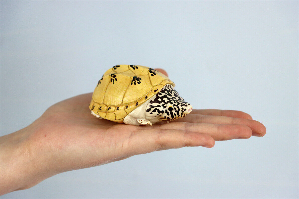 Animal Planet 08 Turtle Blind Box Model