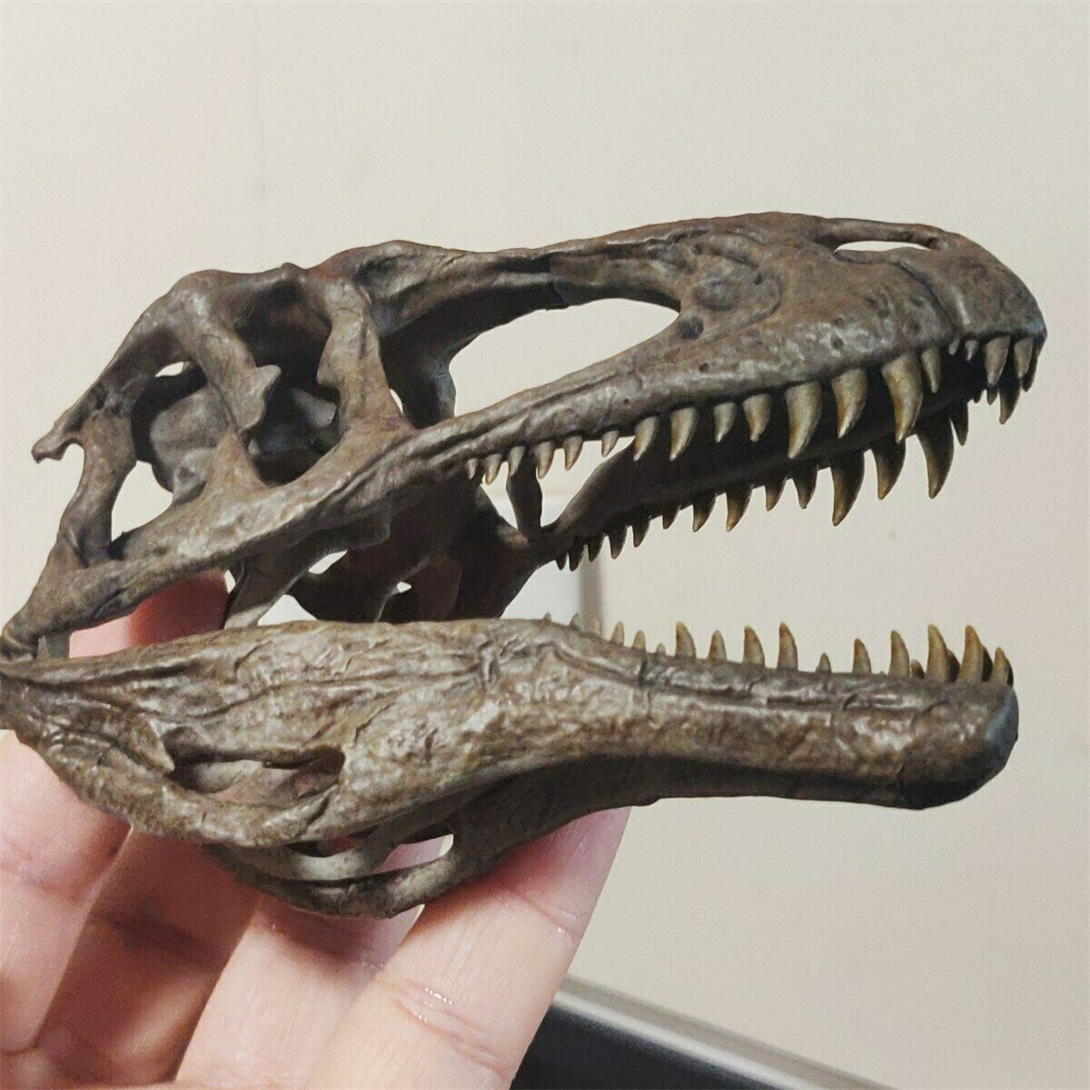 1/10 Acrocanthosaurus Skull Model