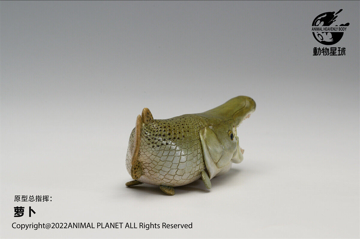Animal Planet Alligator Gar Model