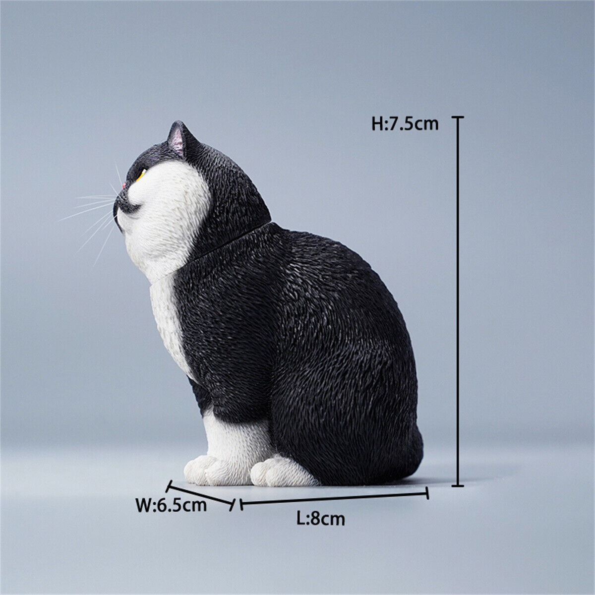 JXK 1/6 Change Head Exoticshorthair Cat Model
