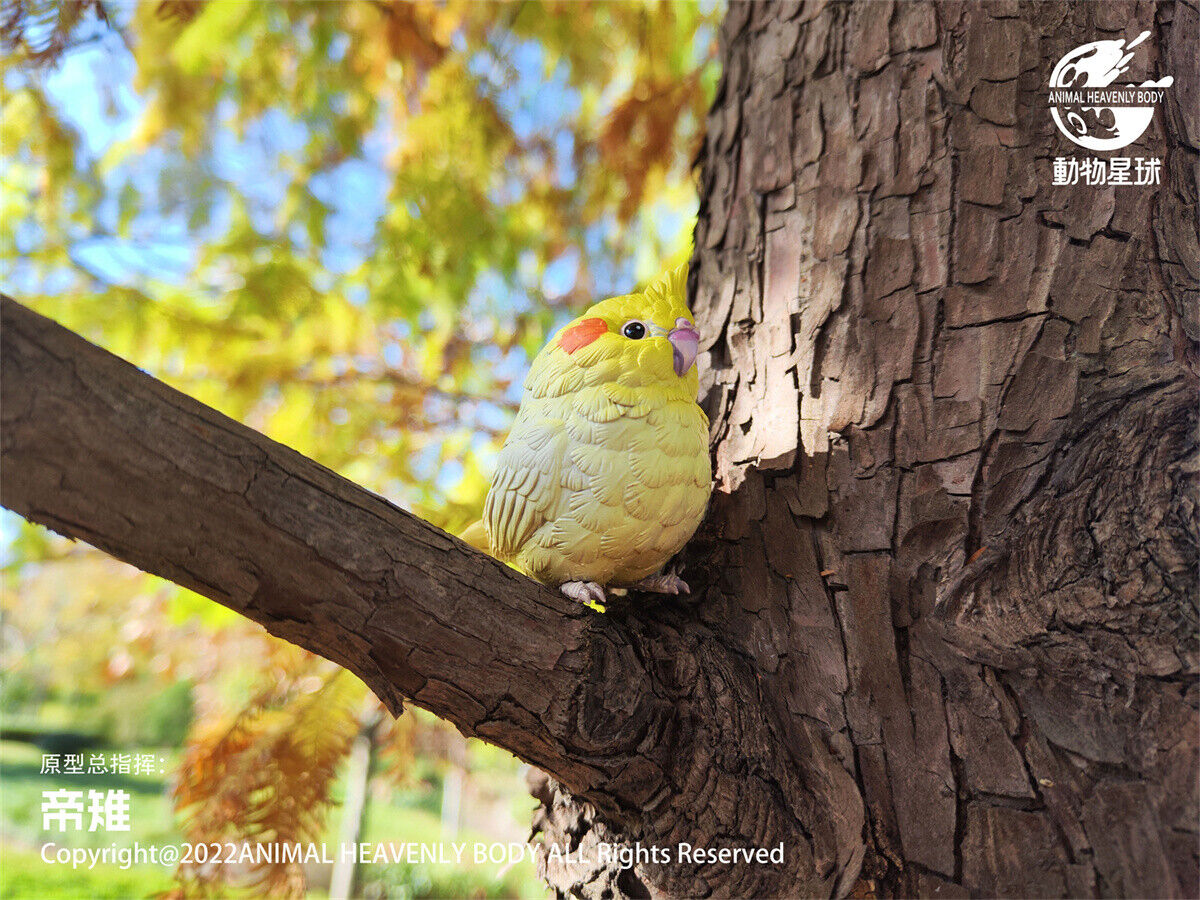 Animal Planet Birds 2.0 Blind Box Model