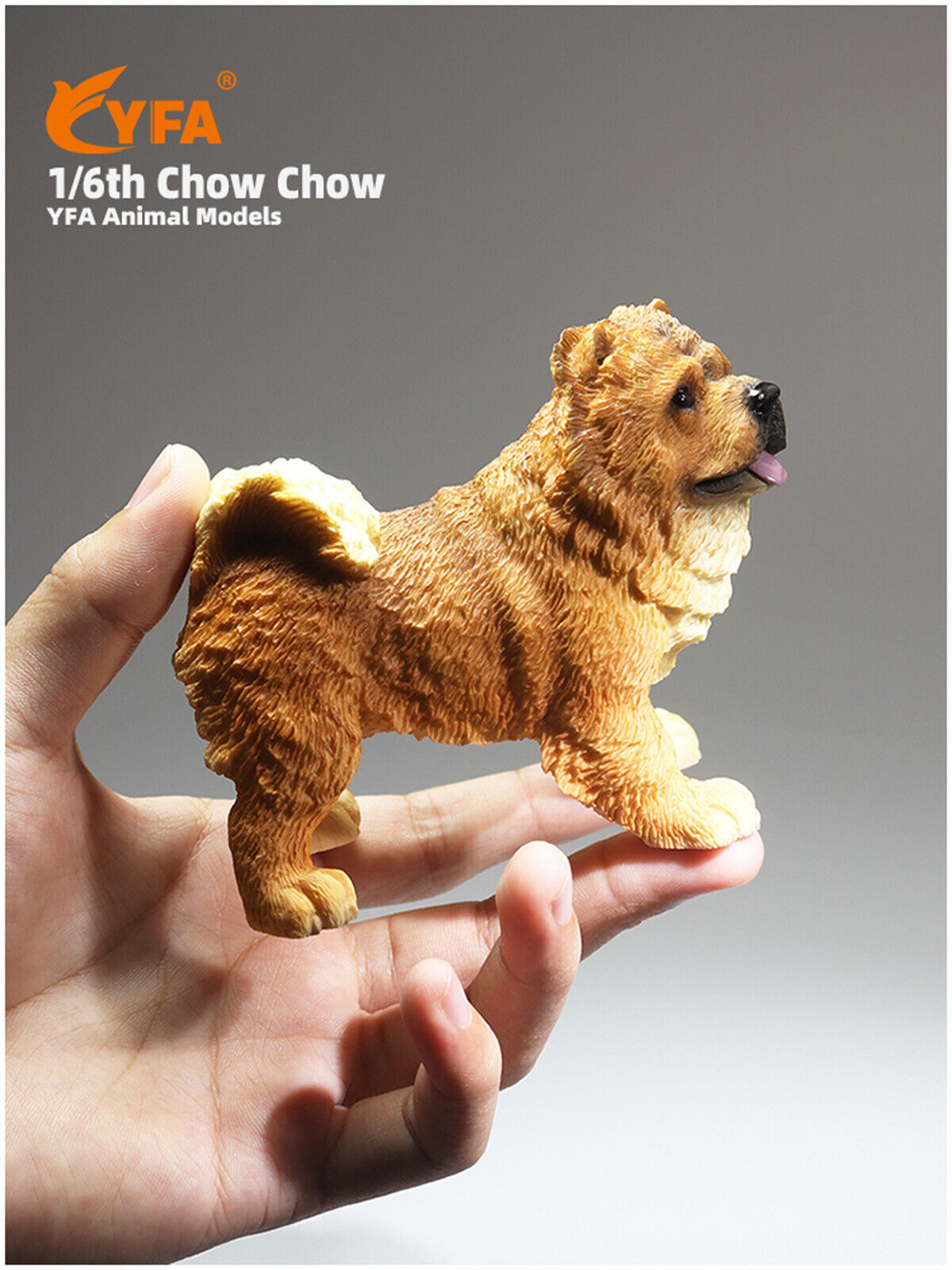 JJM 1/6 Chow Chow Dog Model