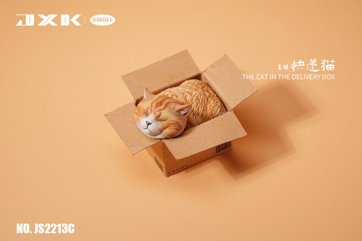 JXK The Cat In The Delivery Box Model