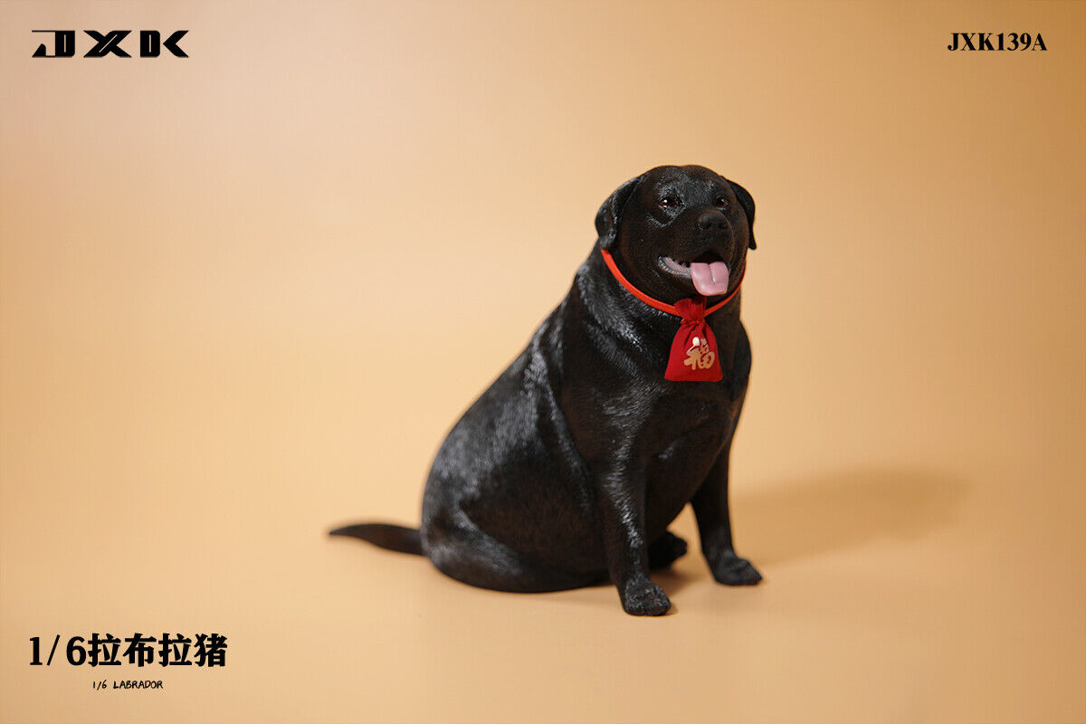 JXK 1/6 Labrador Model