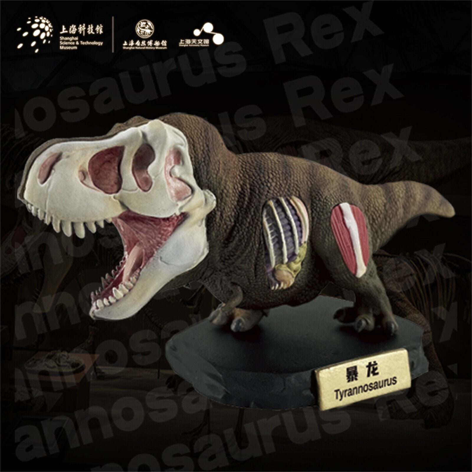 Animal Planet T-Rex Model