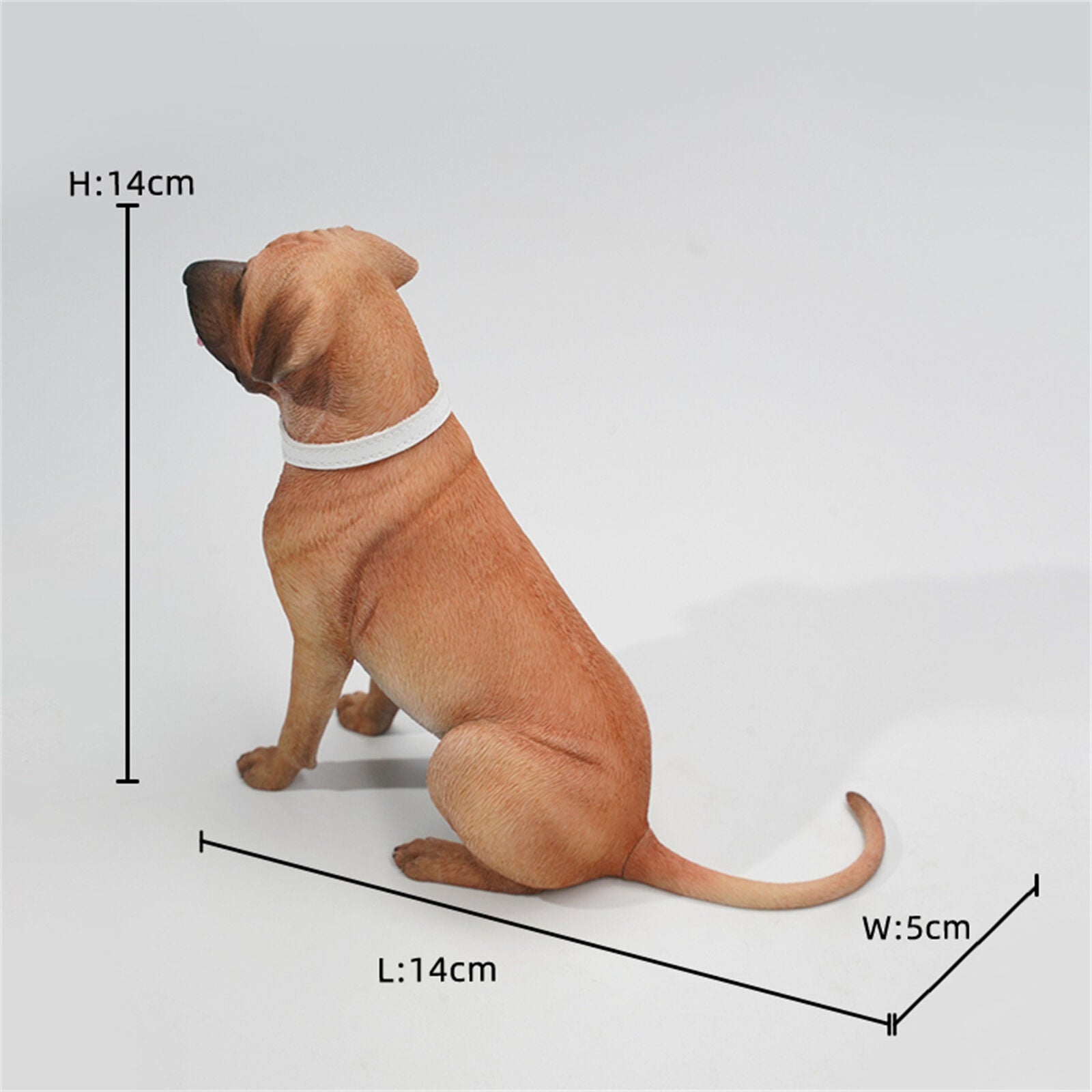 JXK 1/6 Tosa Inu Model