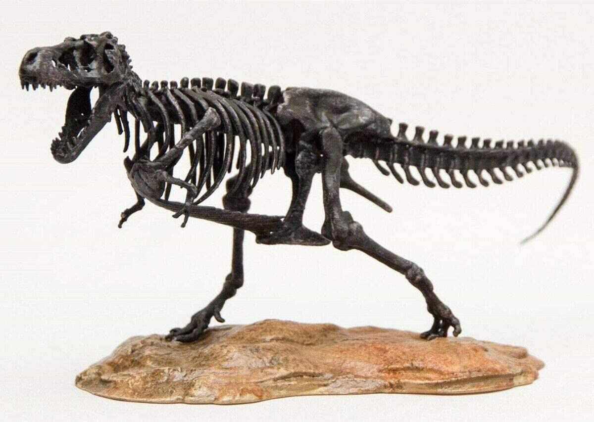 1/72 T-Rex Skeleton Model