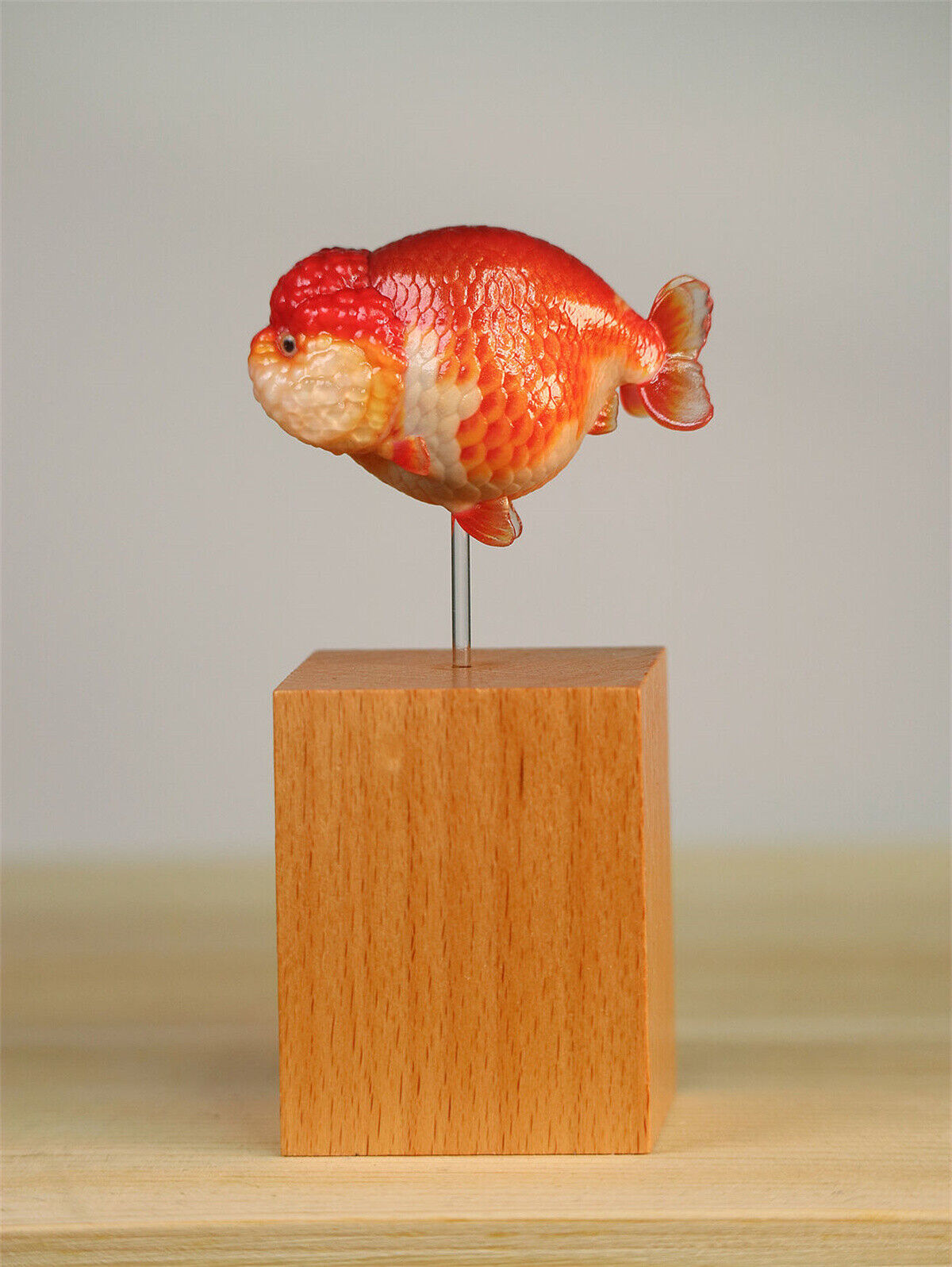 Lanshou Goldfish Model