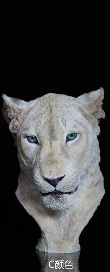 1/2 Lioness Head Statue