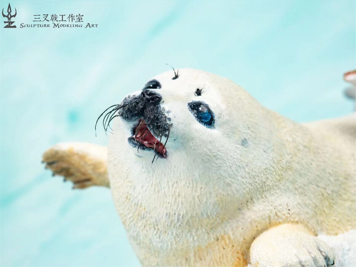 Seal Play With Gadus Model