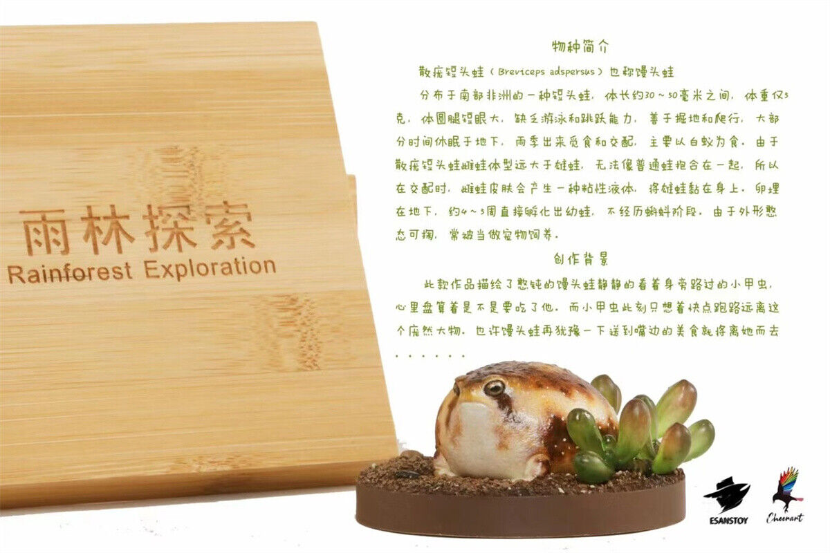 ESANSTOY Breviceps adspersus Model