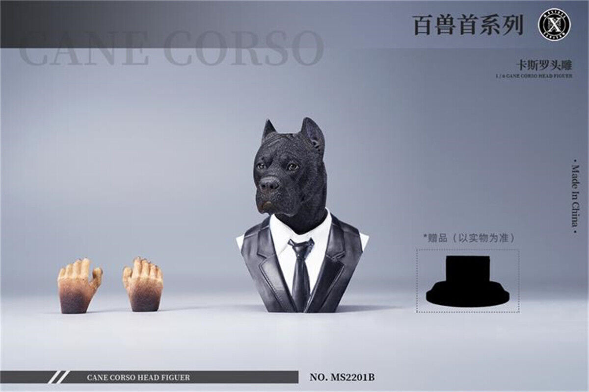 Mostoys 1/6 Cane Corso Head Figure