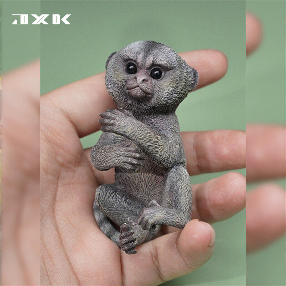 JXK 1/1 Callithrix Jacchus Model
