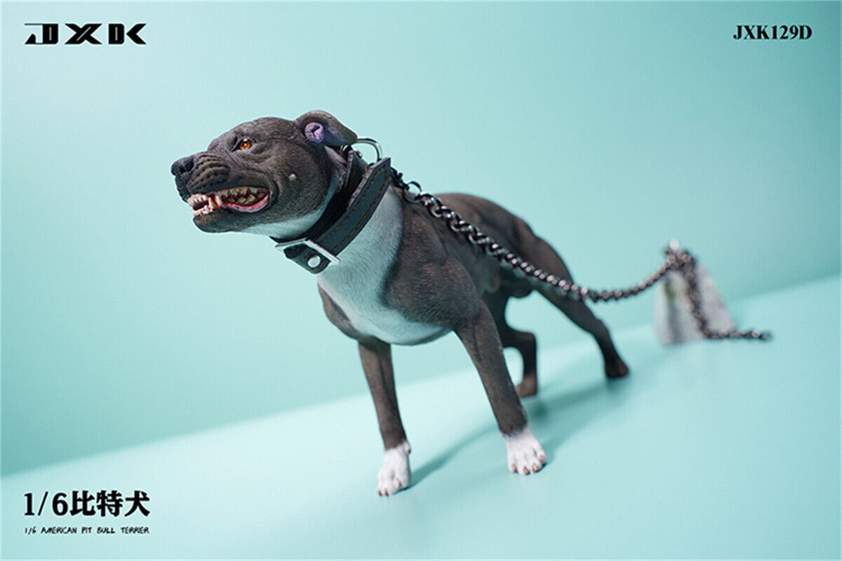 JXK 1/6 American Pit Bull Terrier Model