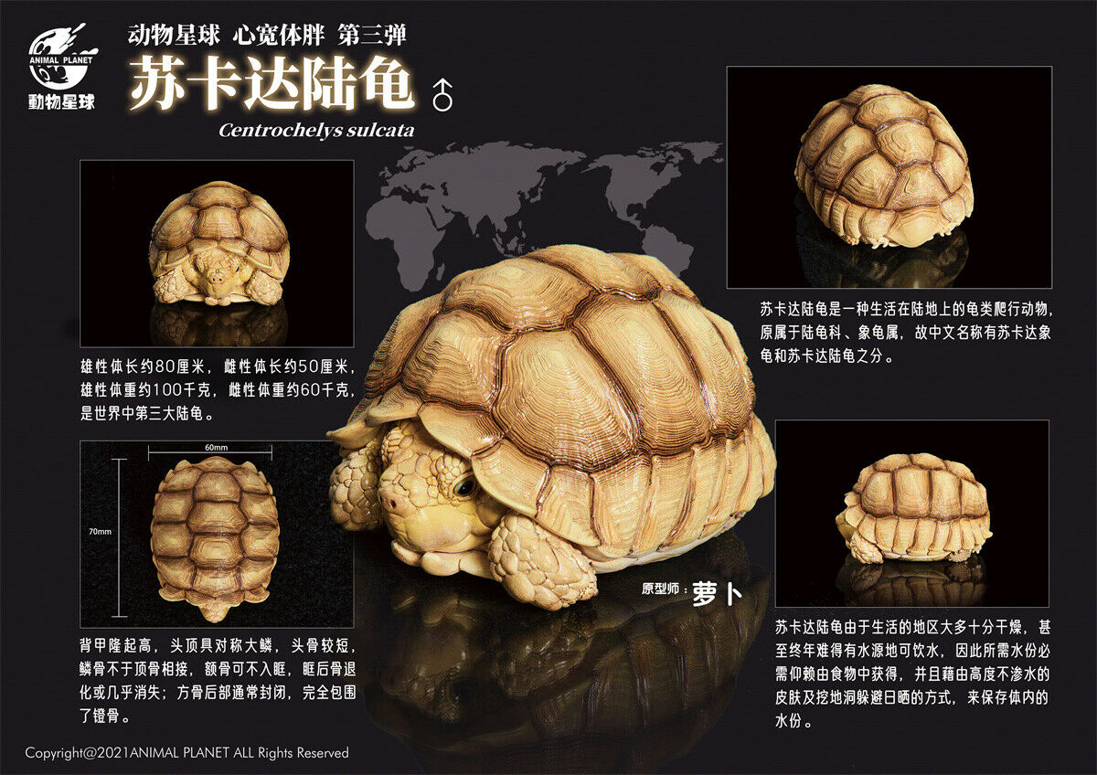 Animal Planet A Series of Laugh and Grow Fat 03 Model