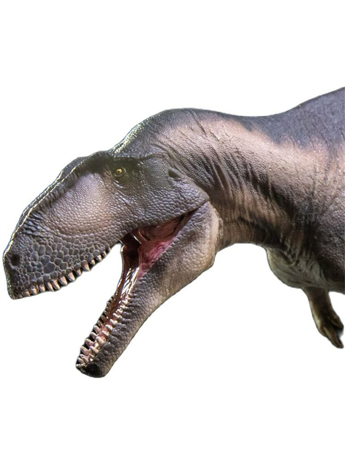 PNSO 68 Mapusaurus Mila Model