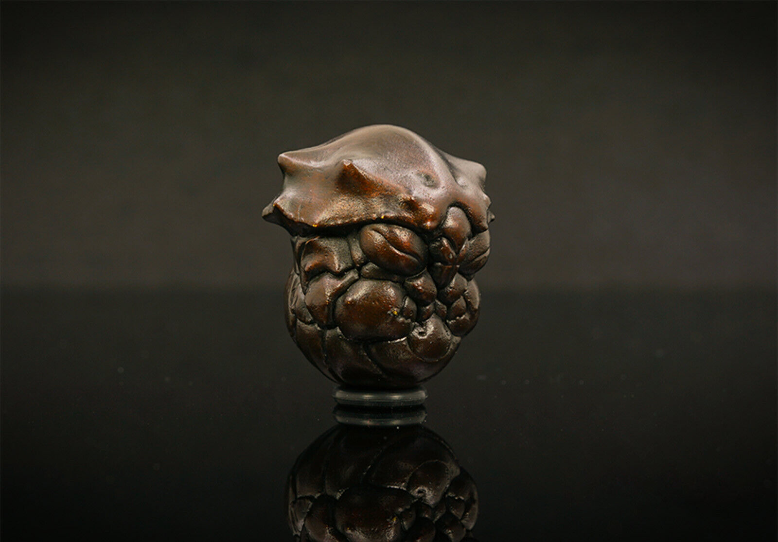 KONGZOO Brass Chrysalides Model