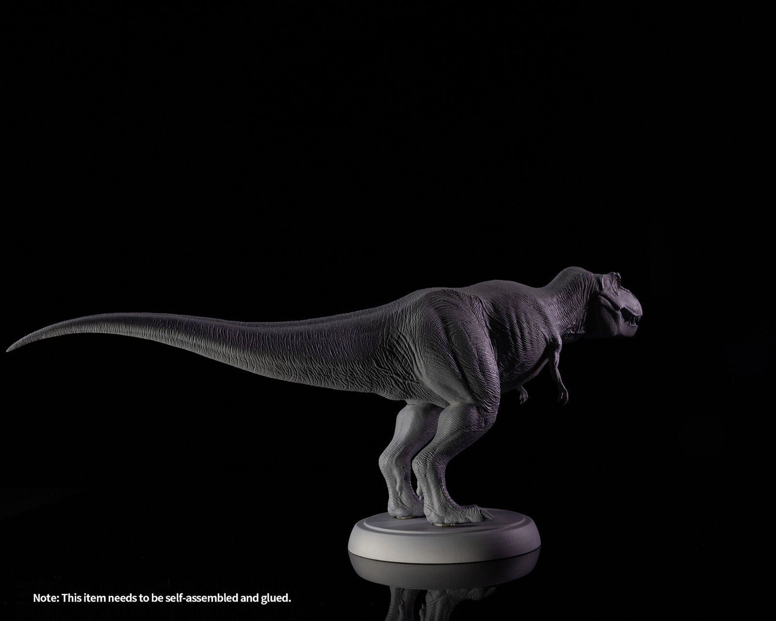 Nanmu Tyrannosaurus Alpha 2.0 Model