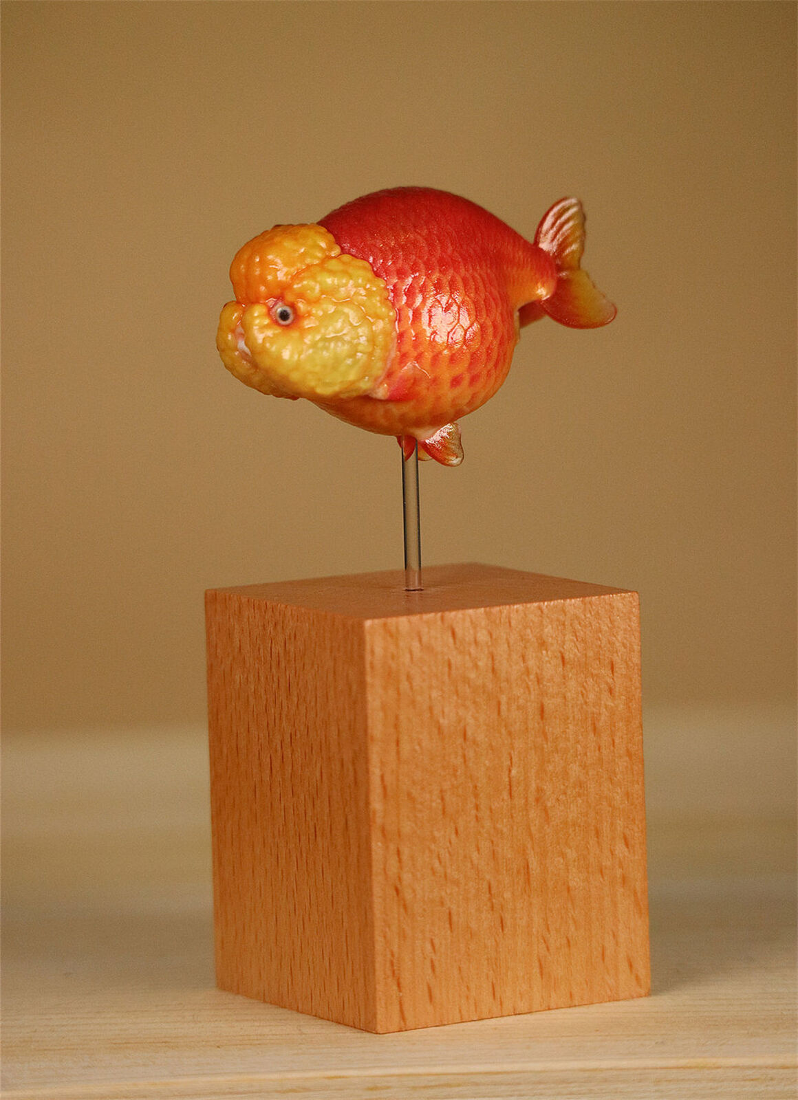 Lanshou Goldfish Model