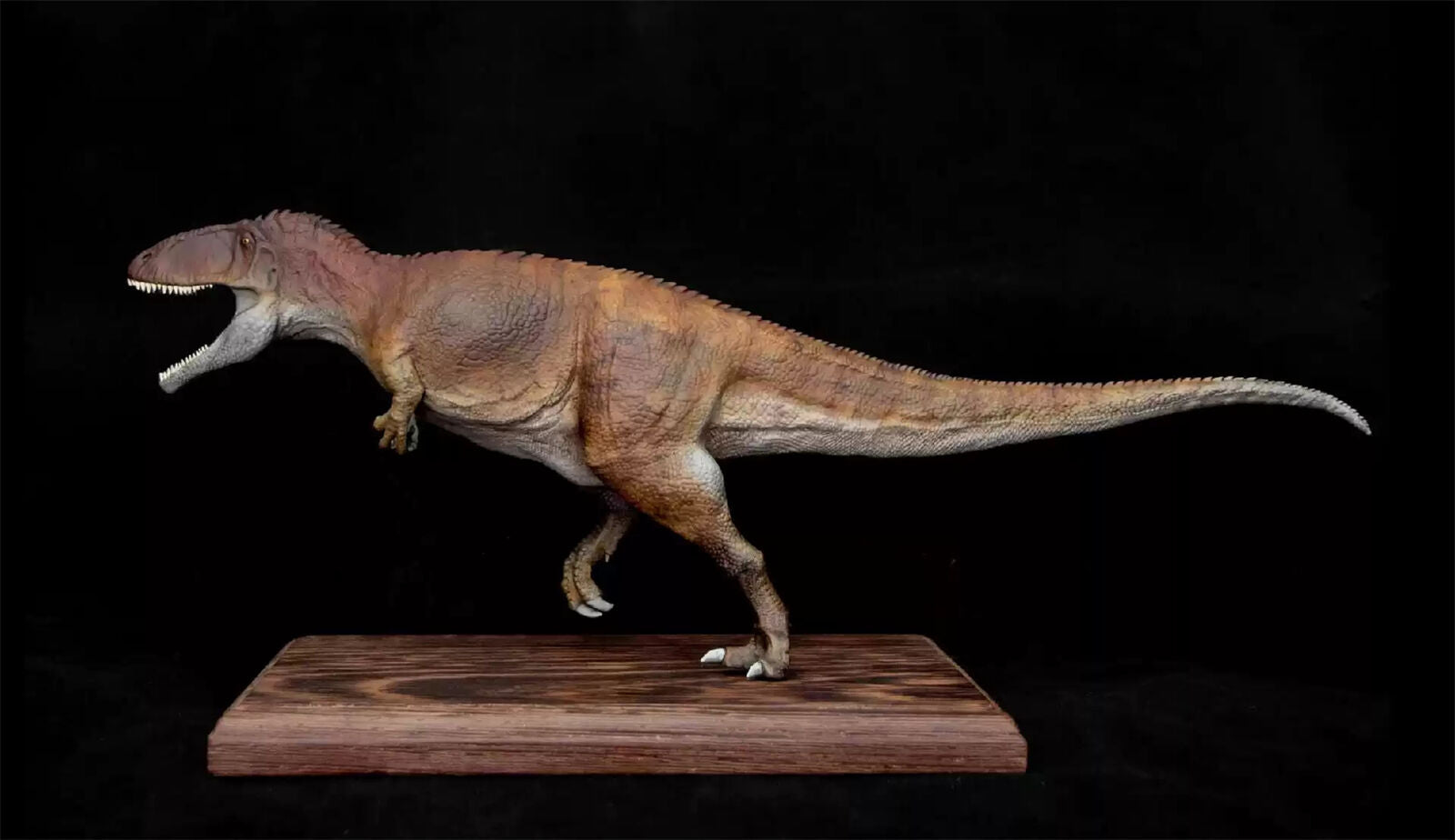 VWUVWU 1/35 Carcharodontosaurus Model