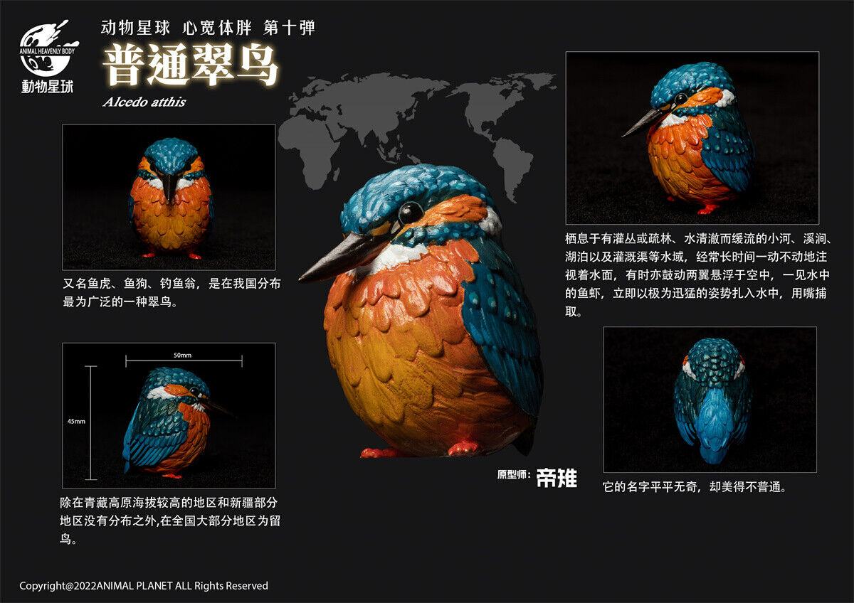 Animal Planet 10 Birds Blind Box Model