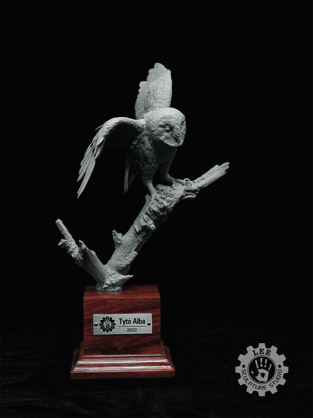 LEE 1/4 Tyto alba Model