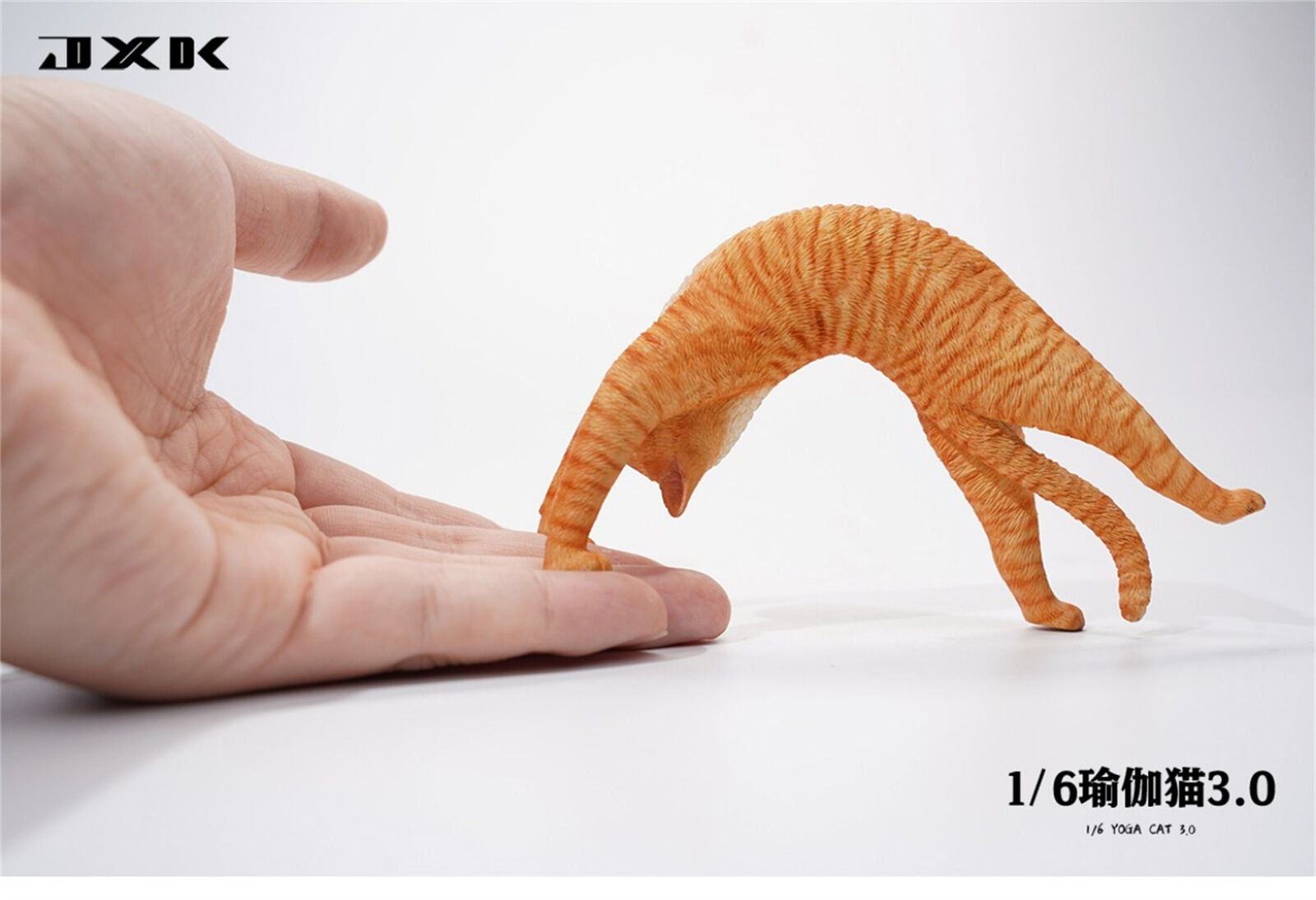 JXK 1/6 Yoga Cat 3.0 Model