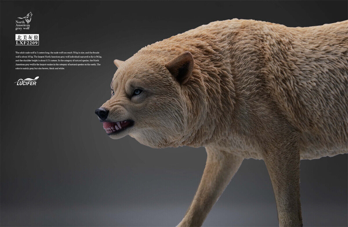 JXK&Lucifer 1/6 North American Gray Wolf Model