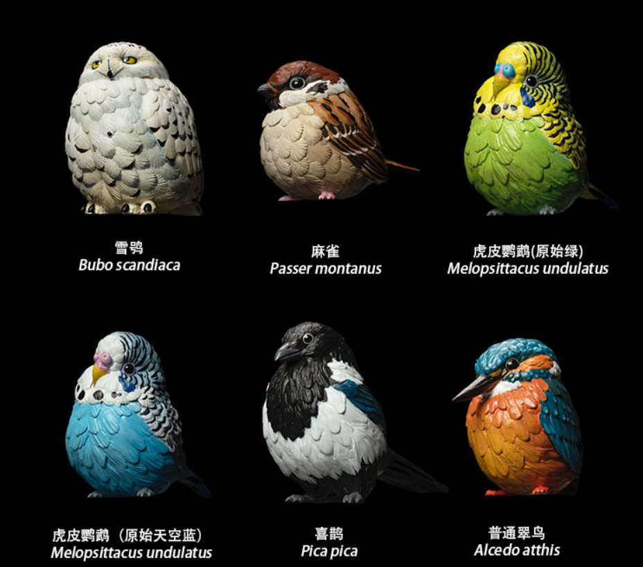 Animal Planet 10 Birds Blind Box Model
