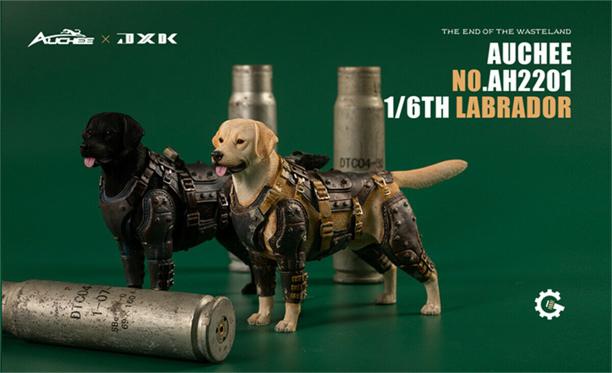 JXK 1/6 Armored Labrador Model