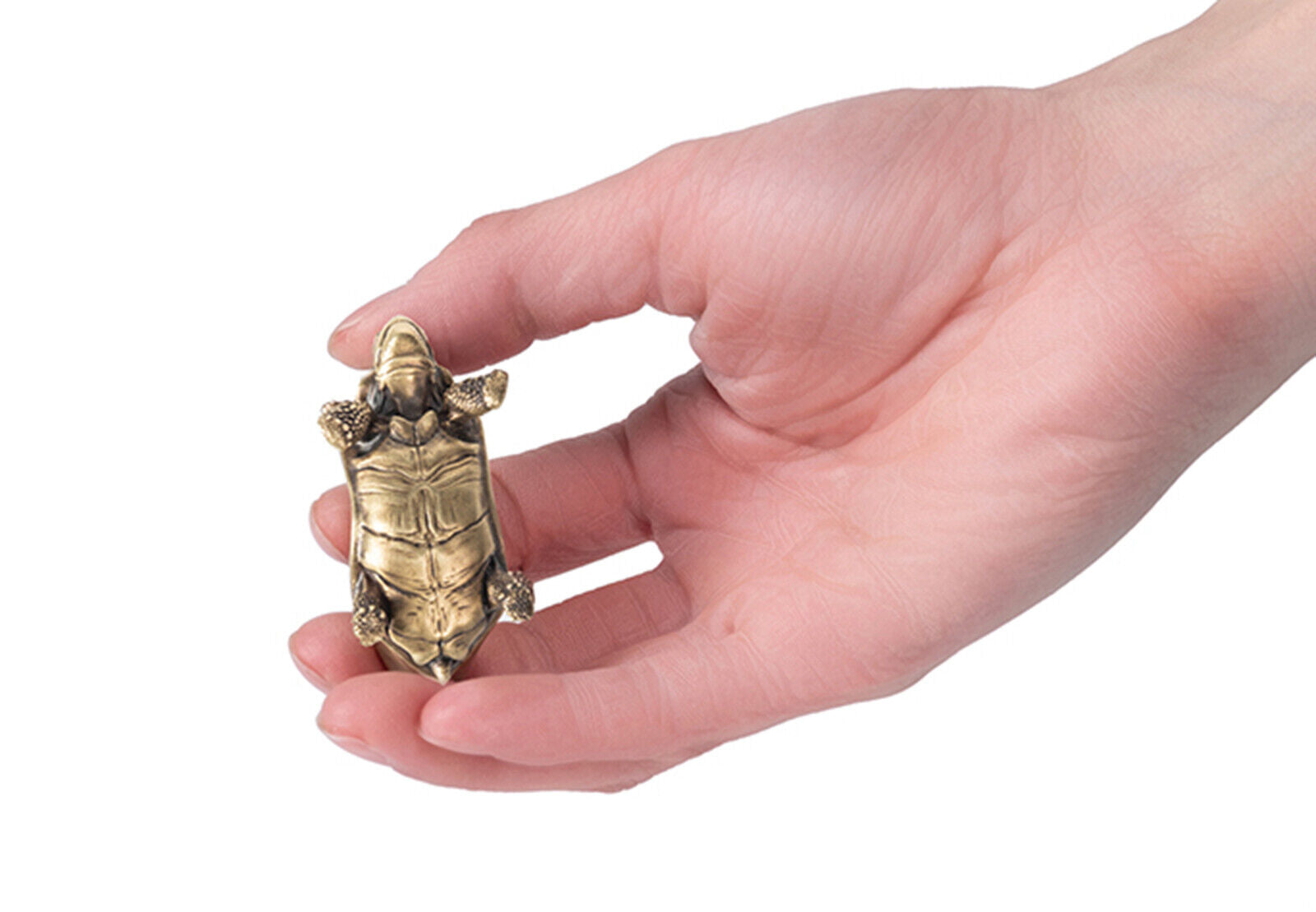 KONGZOO Brass Banana Turtle Model